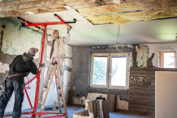 Best Insulation Air Sealing  in Niceville, FL